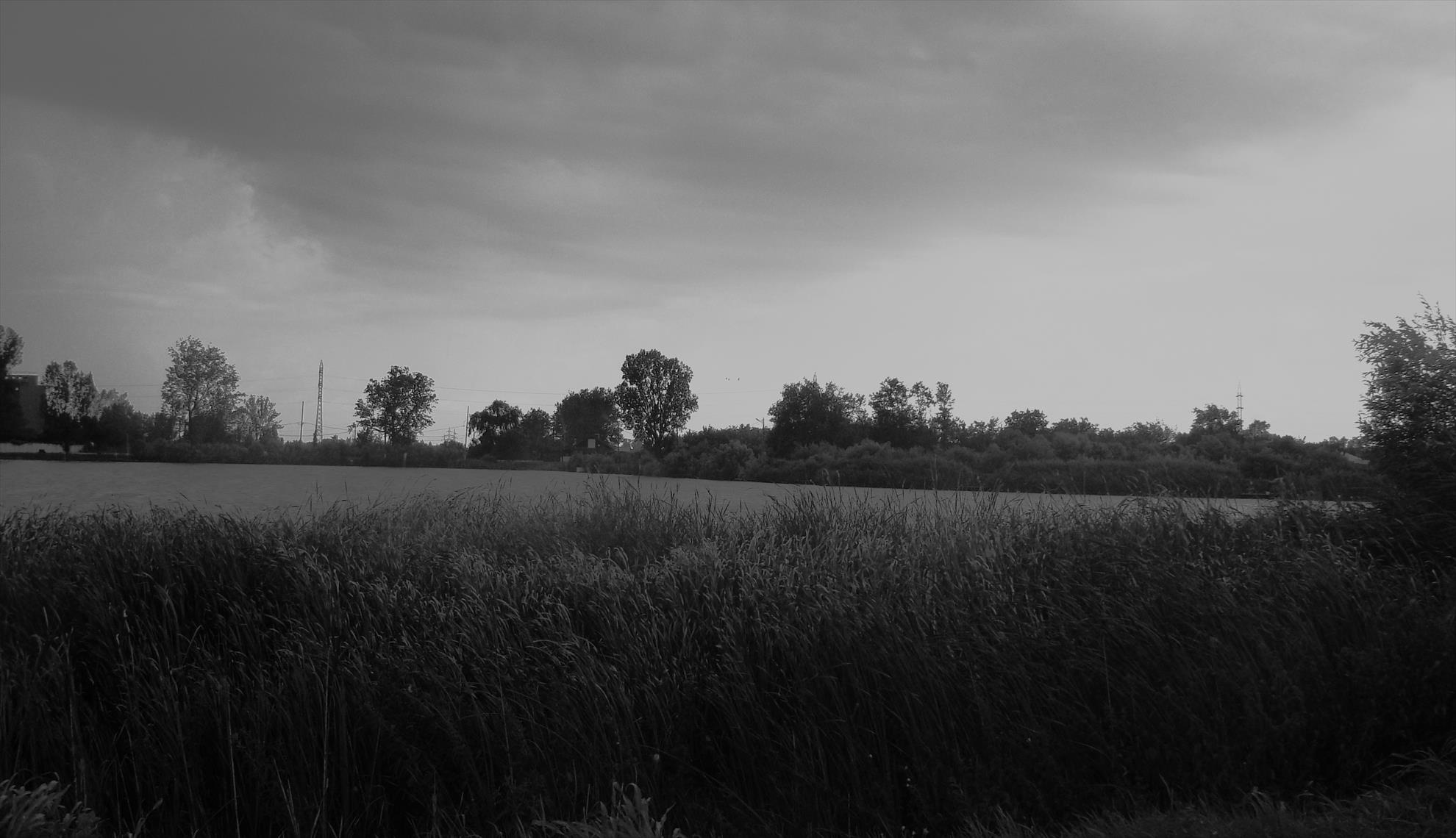 Pleasa 6 - 7 iul. - dsc00824.JPG